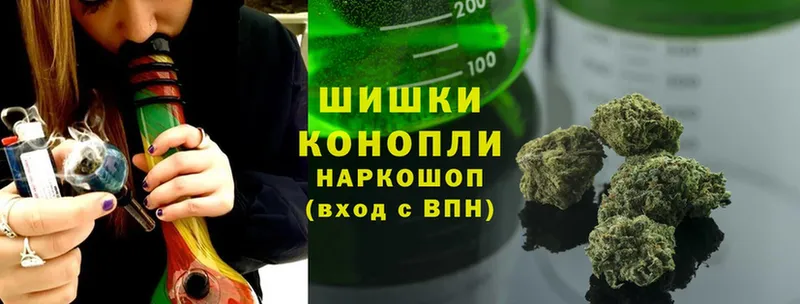 кракен вход  Пушкино  Бошки марихуана THC 21% 